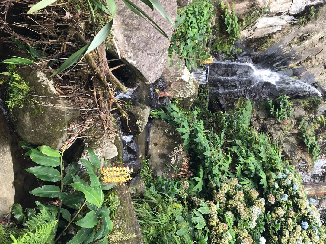 Porto Formoso旅游攻略图片