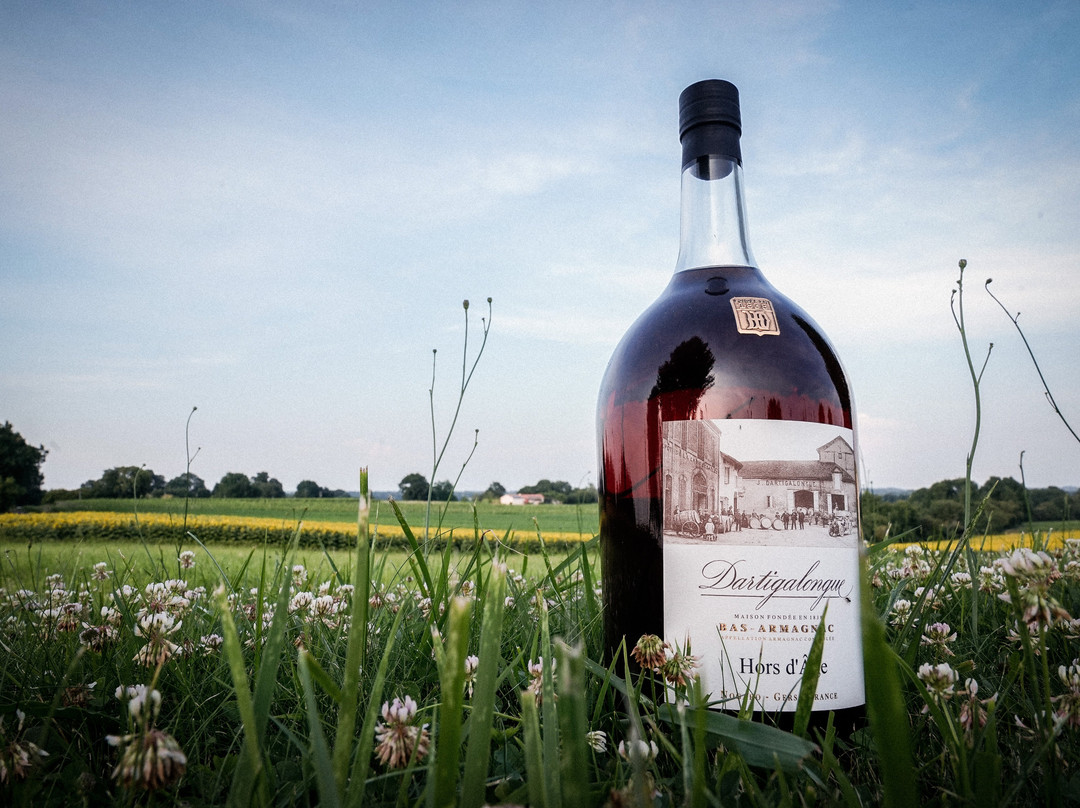 Armagnacs Dartigalongue-Nogaro必去景点