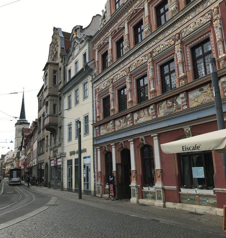 Haus zum breiten Herd-爱尔福特必去景点