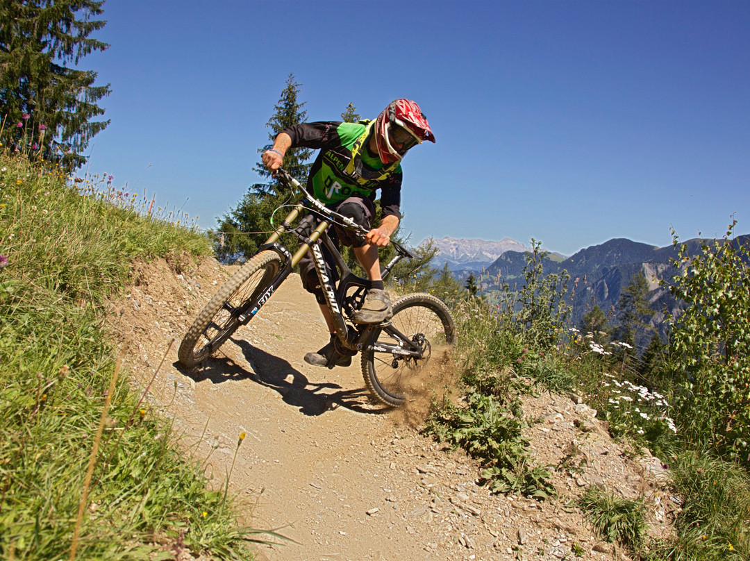 Alpenbikepark Chur景点图片