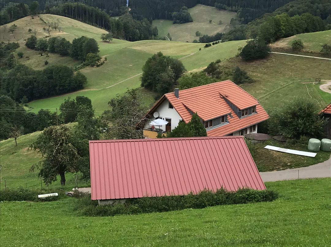 Muehlenbach旅游攻略图片