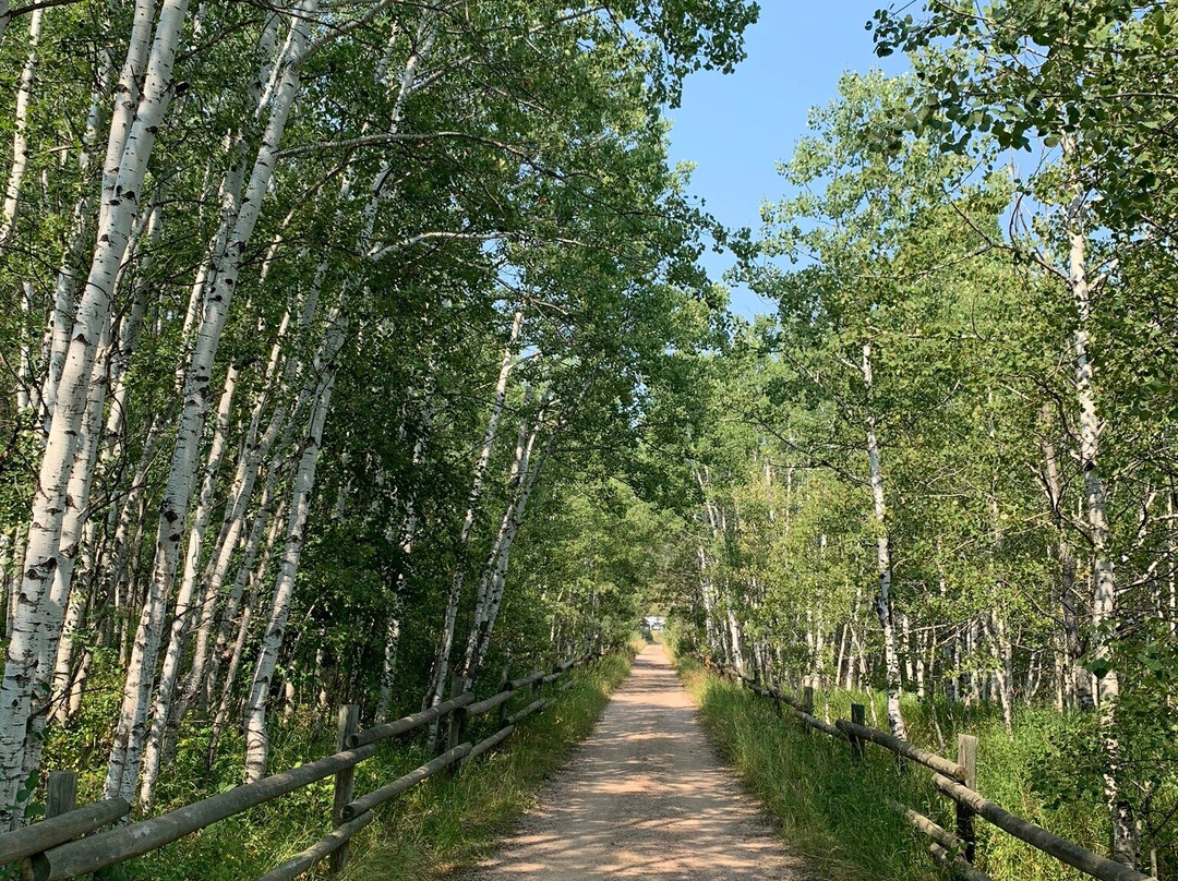 Rabbit Bike Rentals-希尔城必去景点