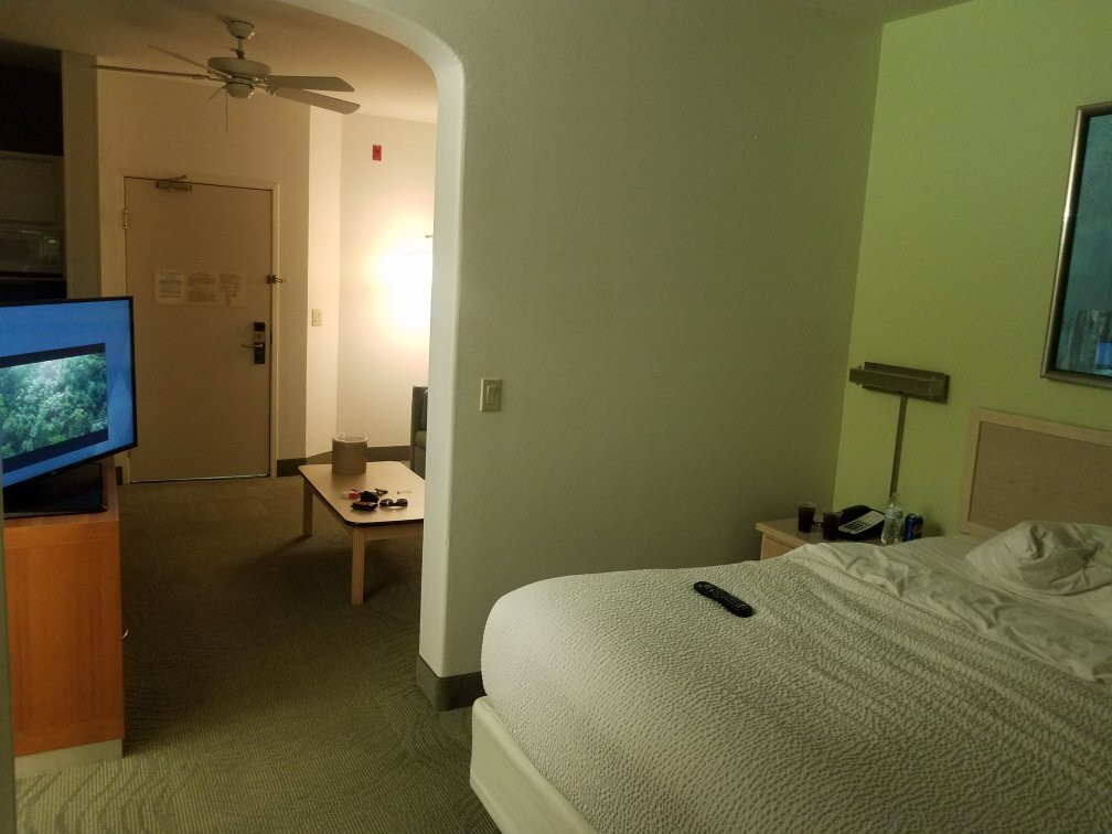 SpringHill Suites by Marriott Las Cruces主图