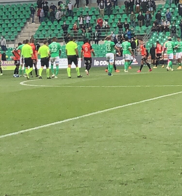 Stade Geoffroy Guichard景点图片