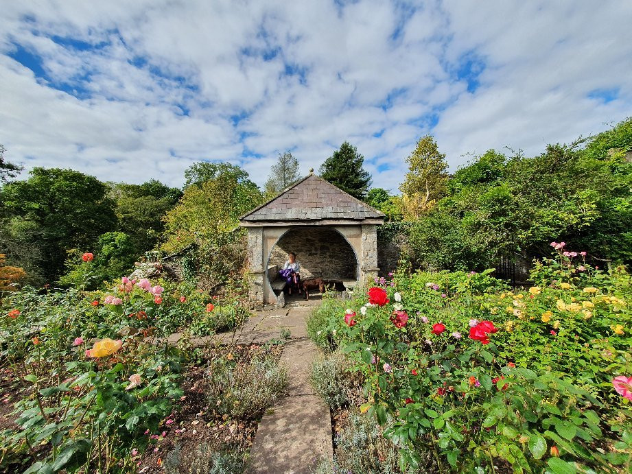 Upton Castle Gardens景点图片