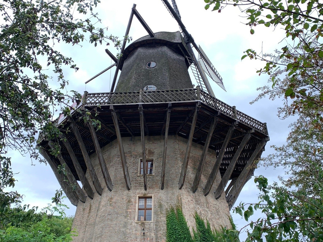 The Historic Windmill-波茨坦必去景点