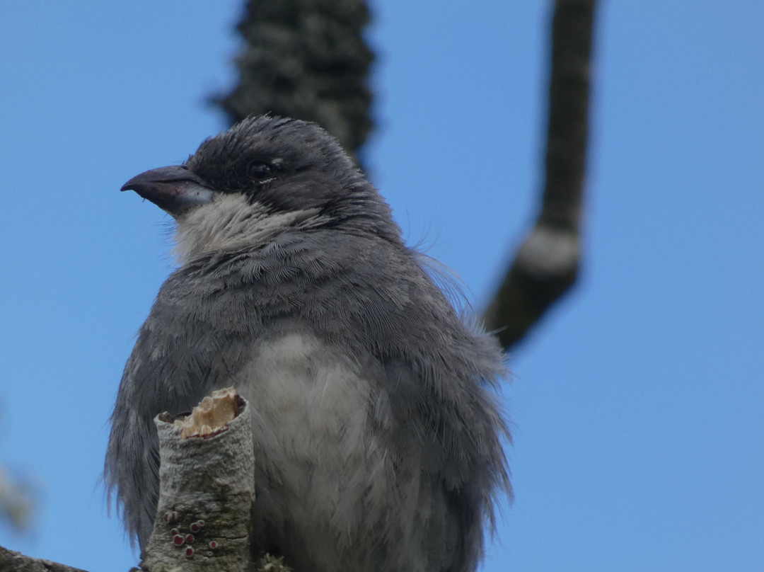 Humedal de Putemun-Castro必去景点