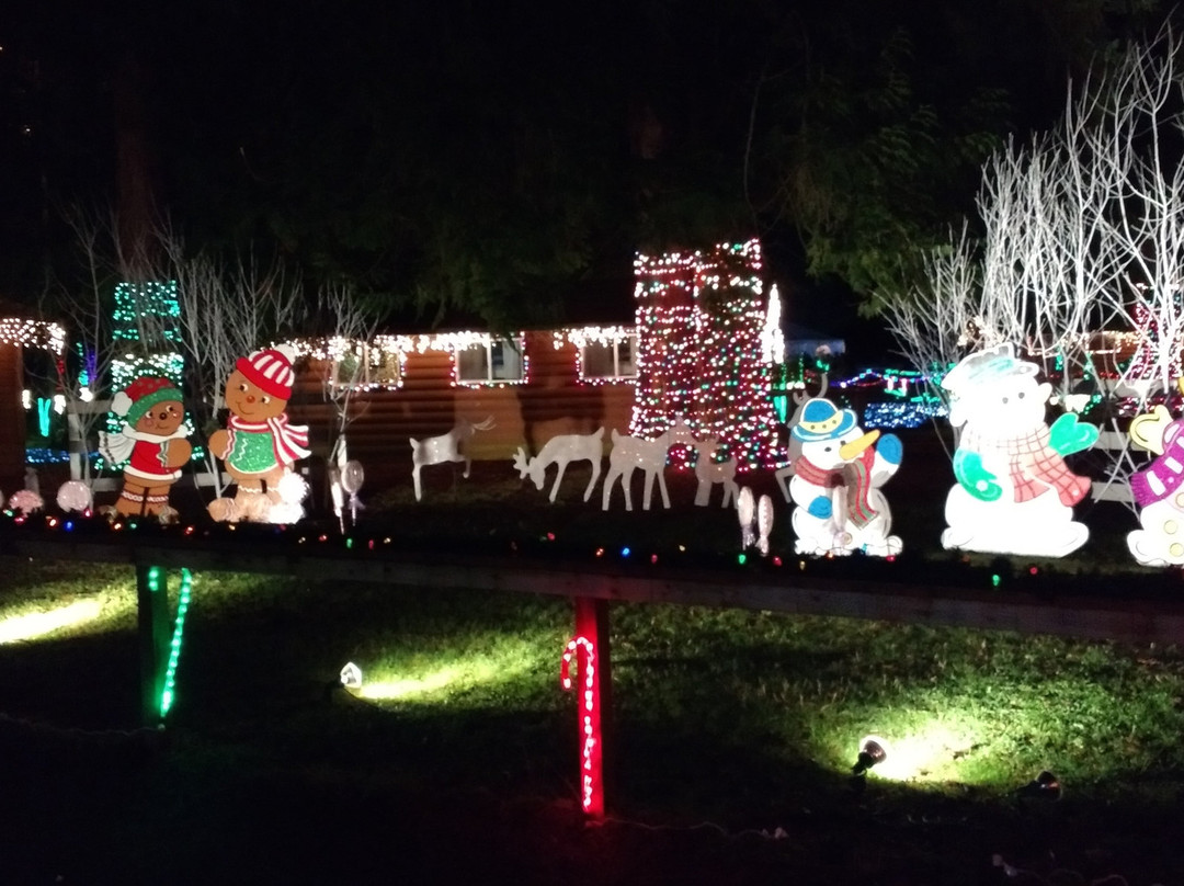 The Lights of Christmas-Stanwood必去景点