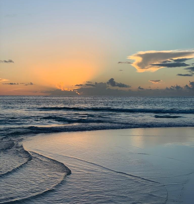 Conch & Coconut-哈勃岛必去景点