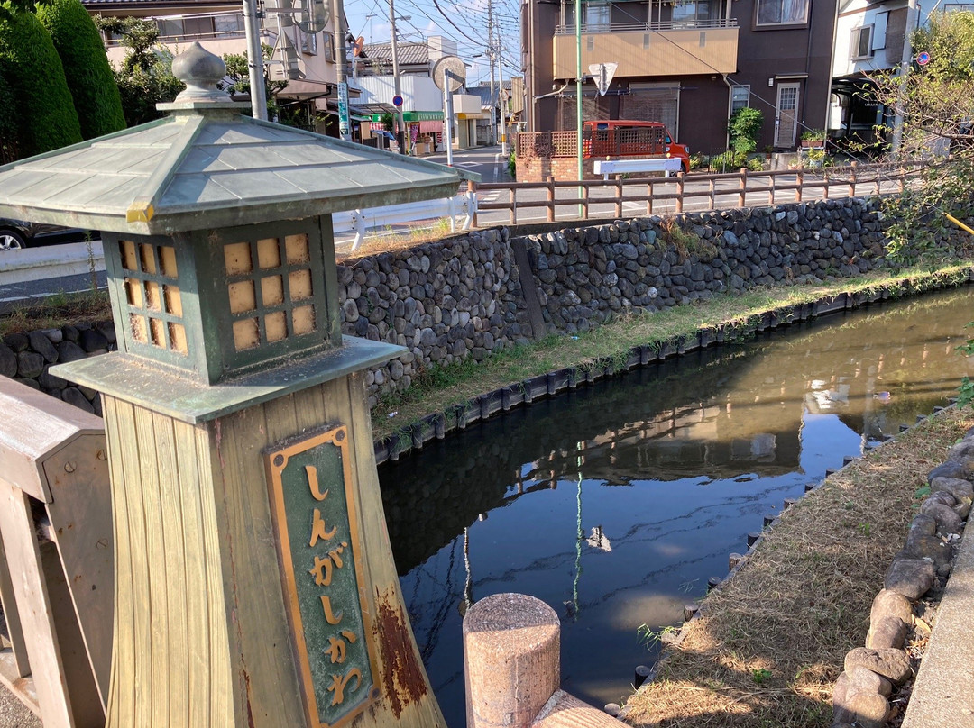 Shingashi River Cherry Blossoms-川越市必去景点