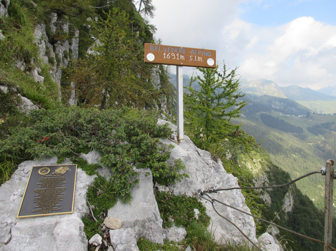 Pizzo della Presolana景点图片