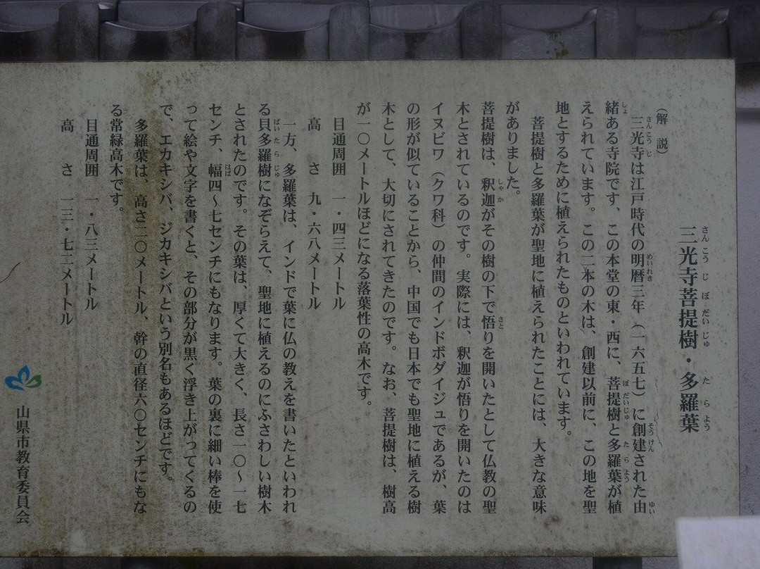 Sankoji Temple-山形市必去景点