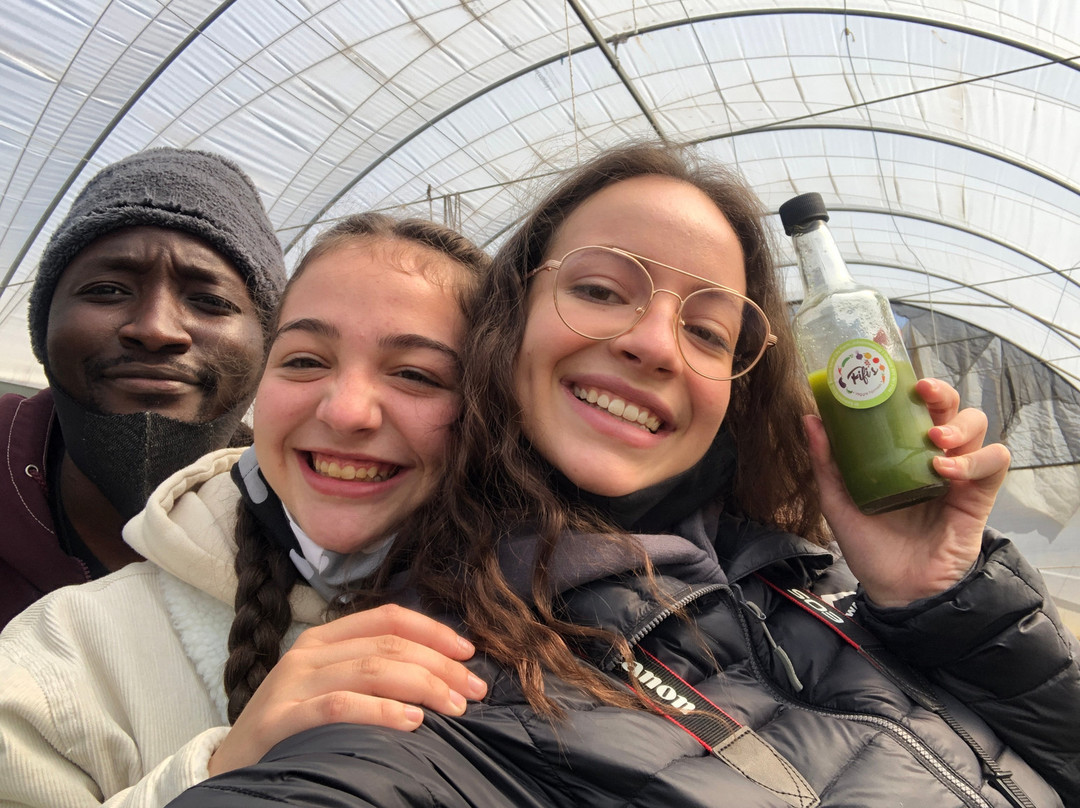 Honest Travel Experience (Johannesburg)-约翰内斯堡必去景点