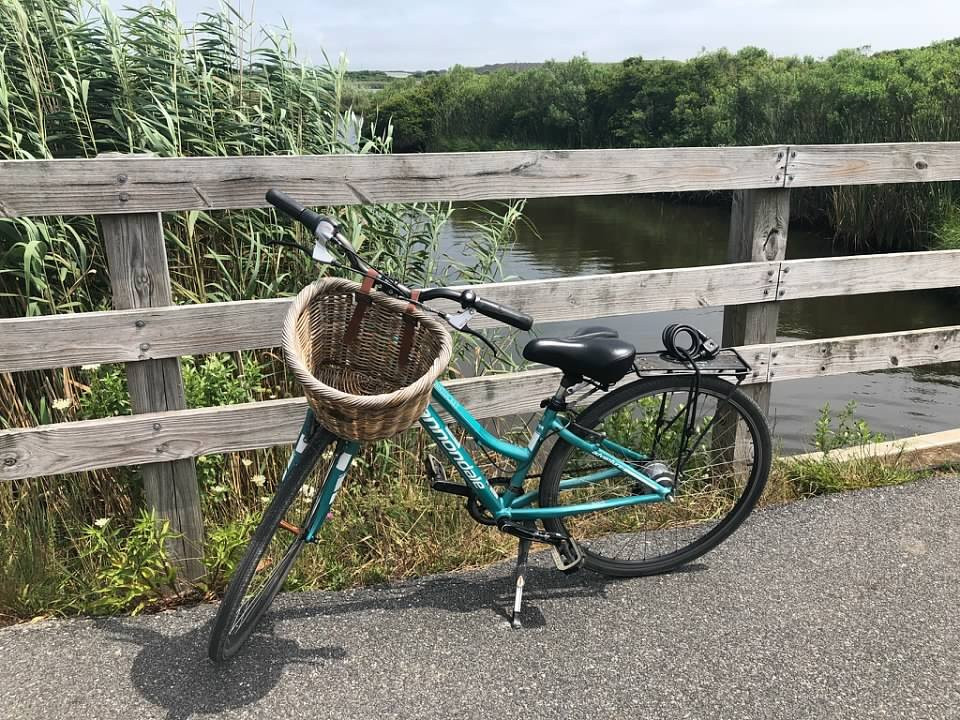 Young's Bicycle Shop景点图片