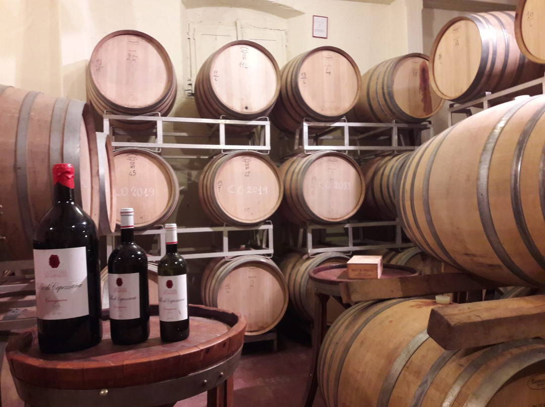 Tenuta di Capezzana主图