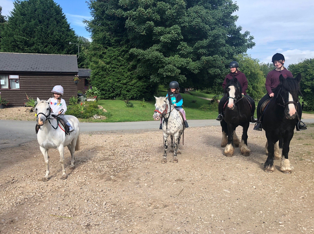 Penycoed Riding Stables景点图片