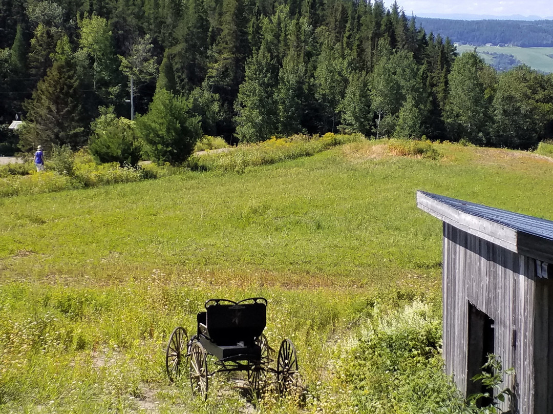Gite et Résidence de L'Artisan主图