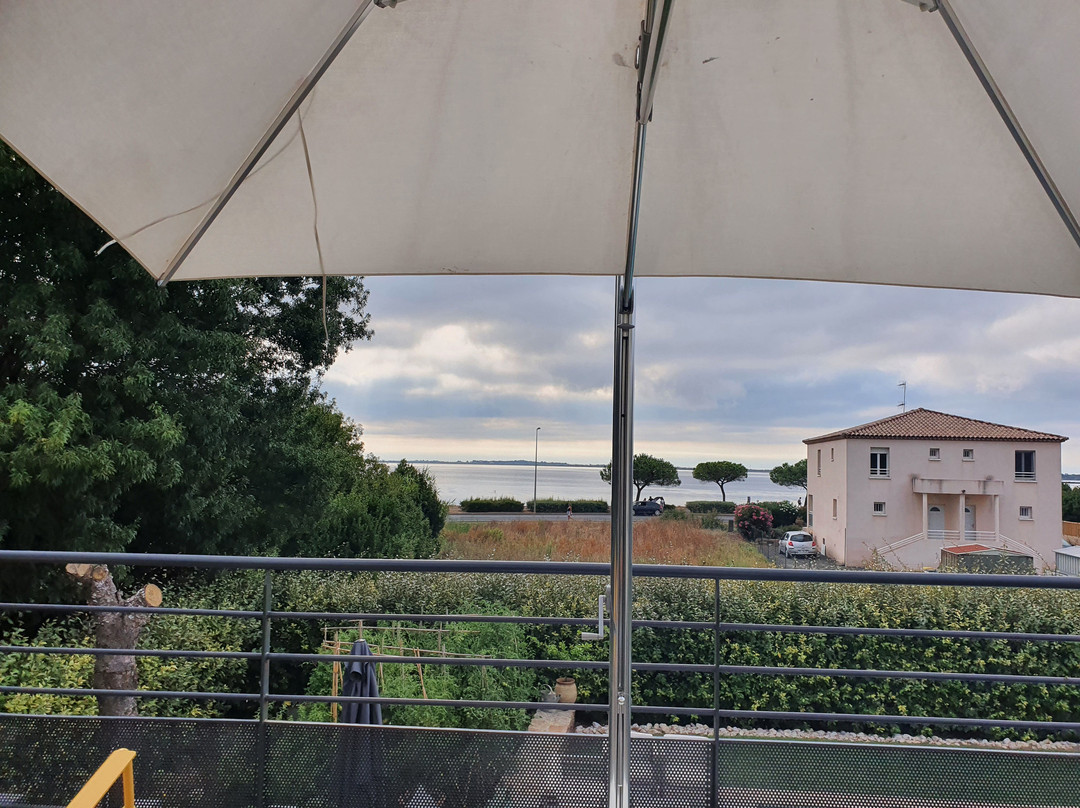 Les Terrasses de Thau主图