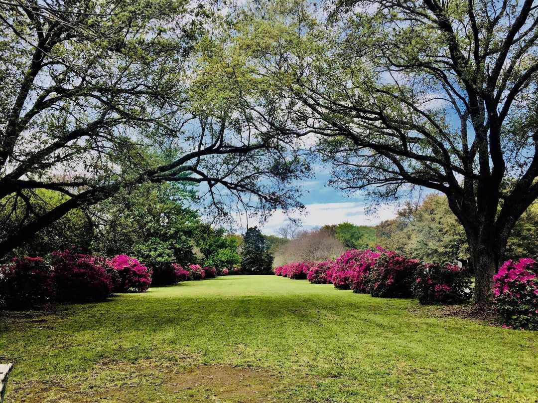 Azalea Trail景点图片