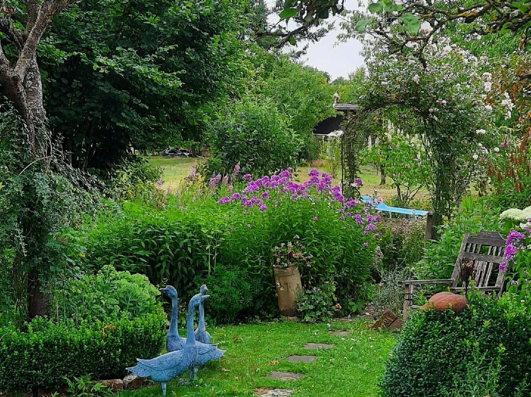 All Seasons Eifel B&B主图