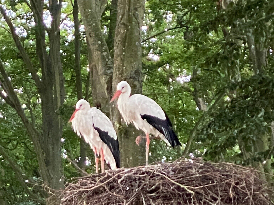 Pension Villa Friede主图