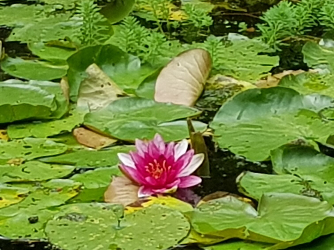 Feeriland-Veyrac必去景点