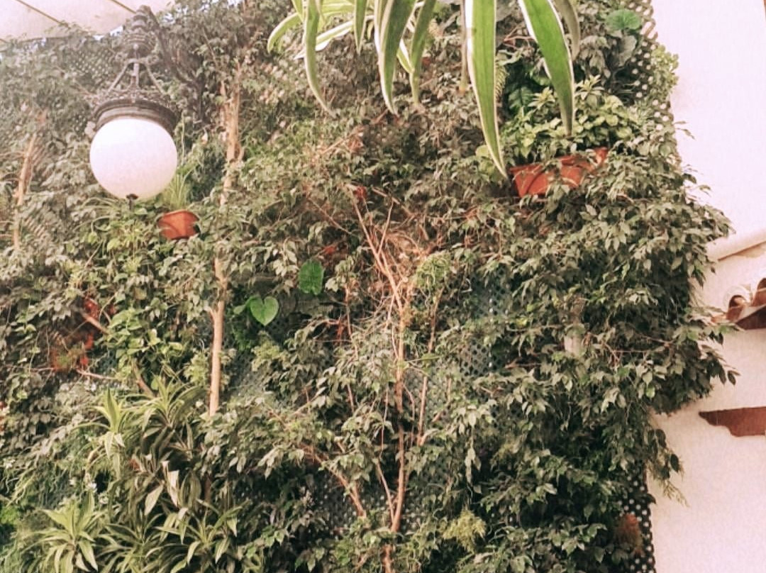 La Tahona-钦琼必去景点