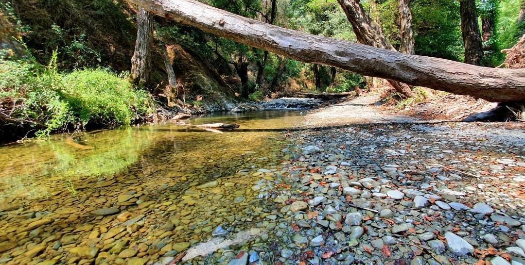 Kelefos Bridge-帕福斯必去景点