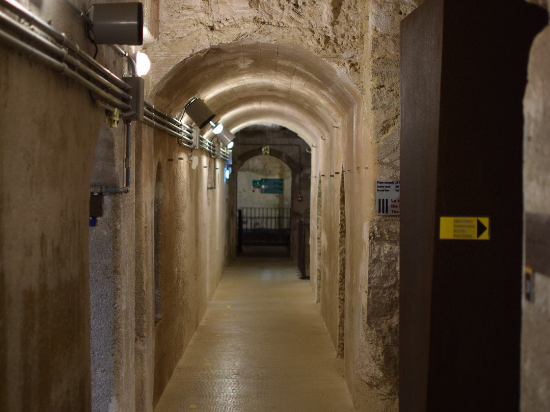 Forti Austro-Ungarici Di Folgaria Lavarone Luserna-Luserna必去景点