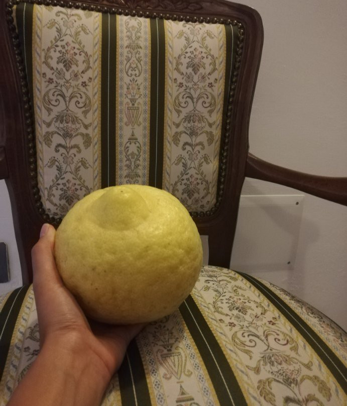 Masseria Casiello B&B主图