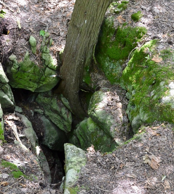 Duncan Escarpment Provincial Nature Reserve-蓝山必去景点