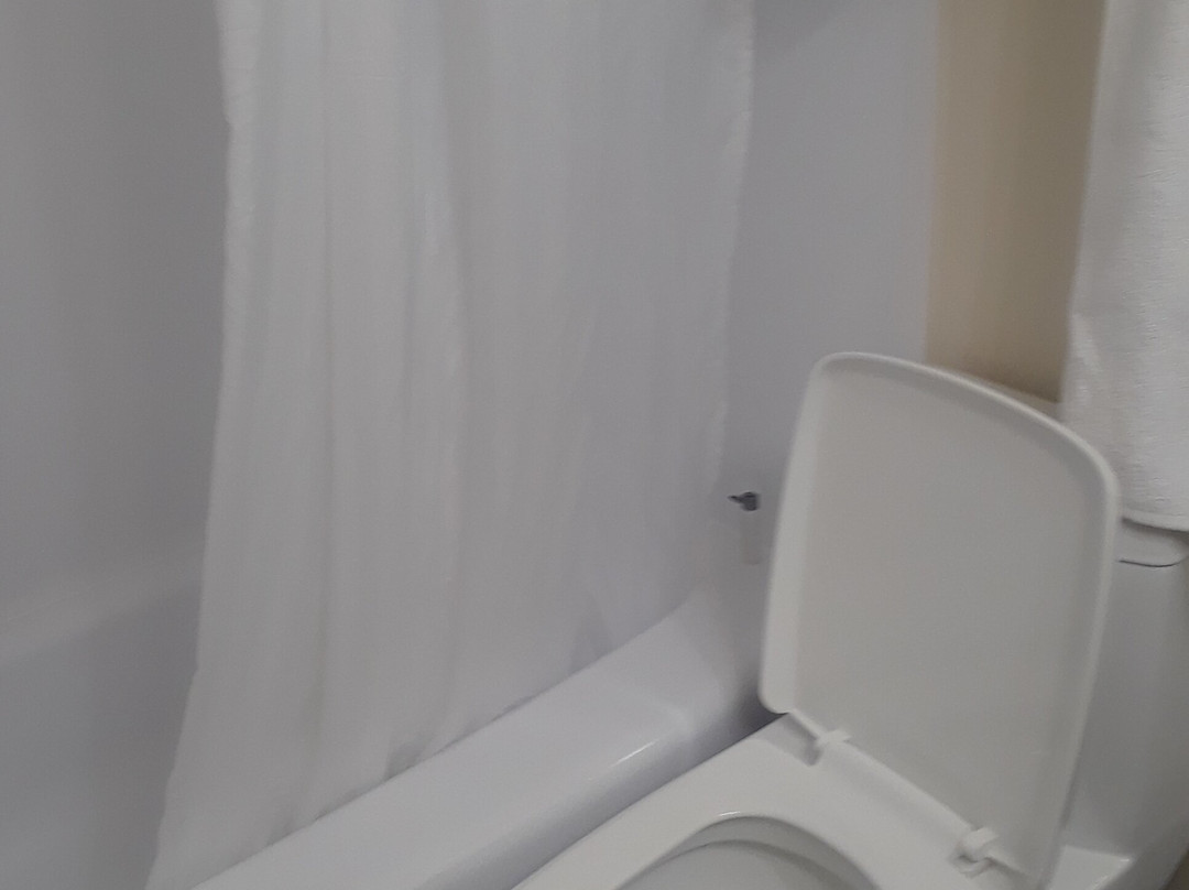 乡村绿色酒店主图