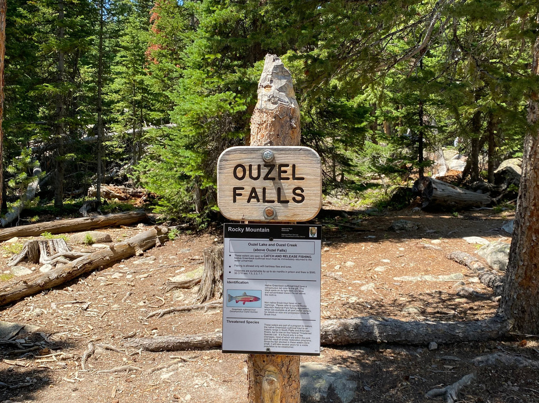 Ouzel  Falls-落基山国家公园必去景点