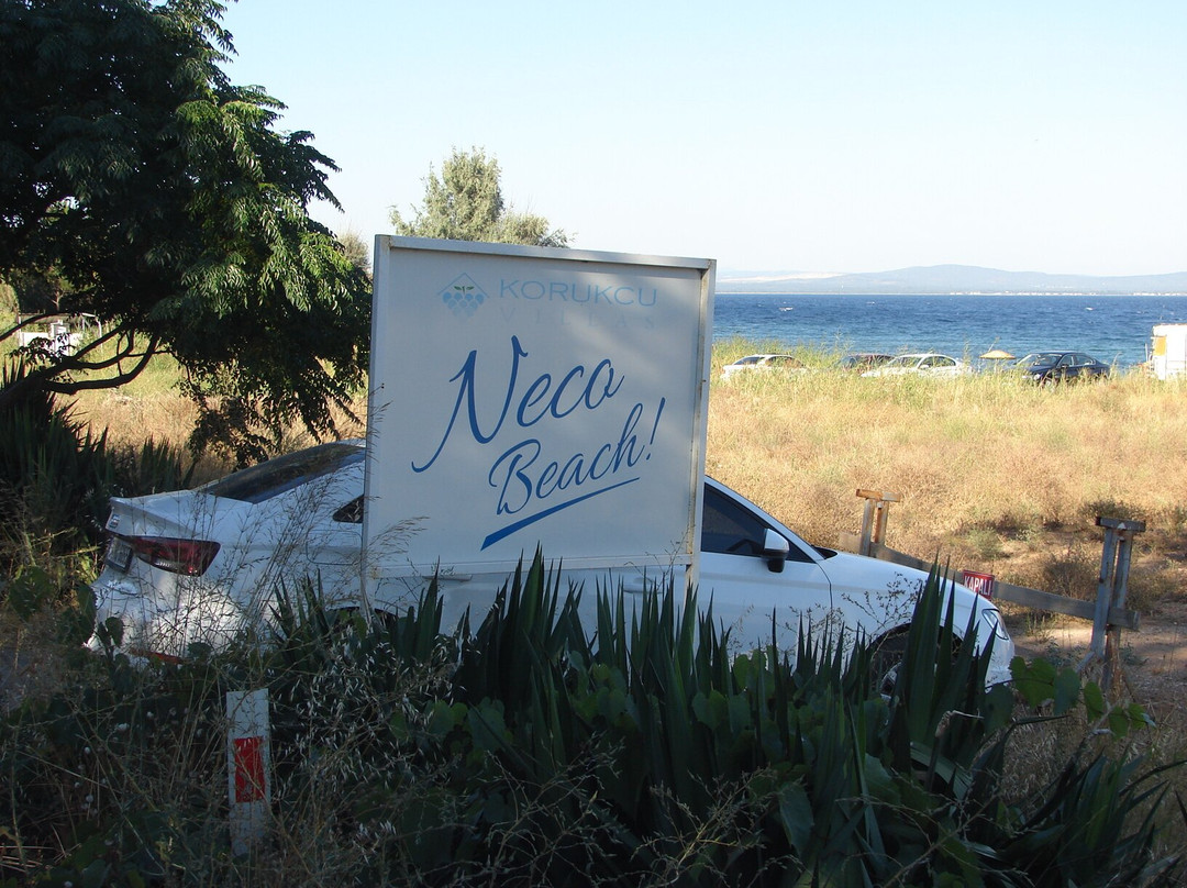 Neco Beach景点图片