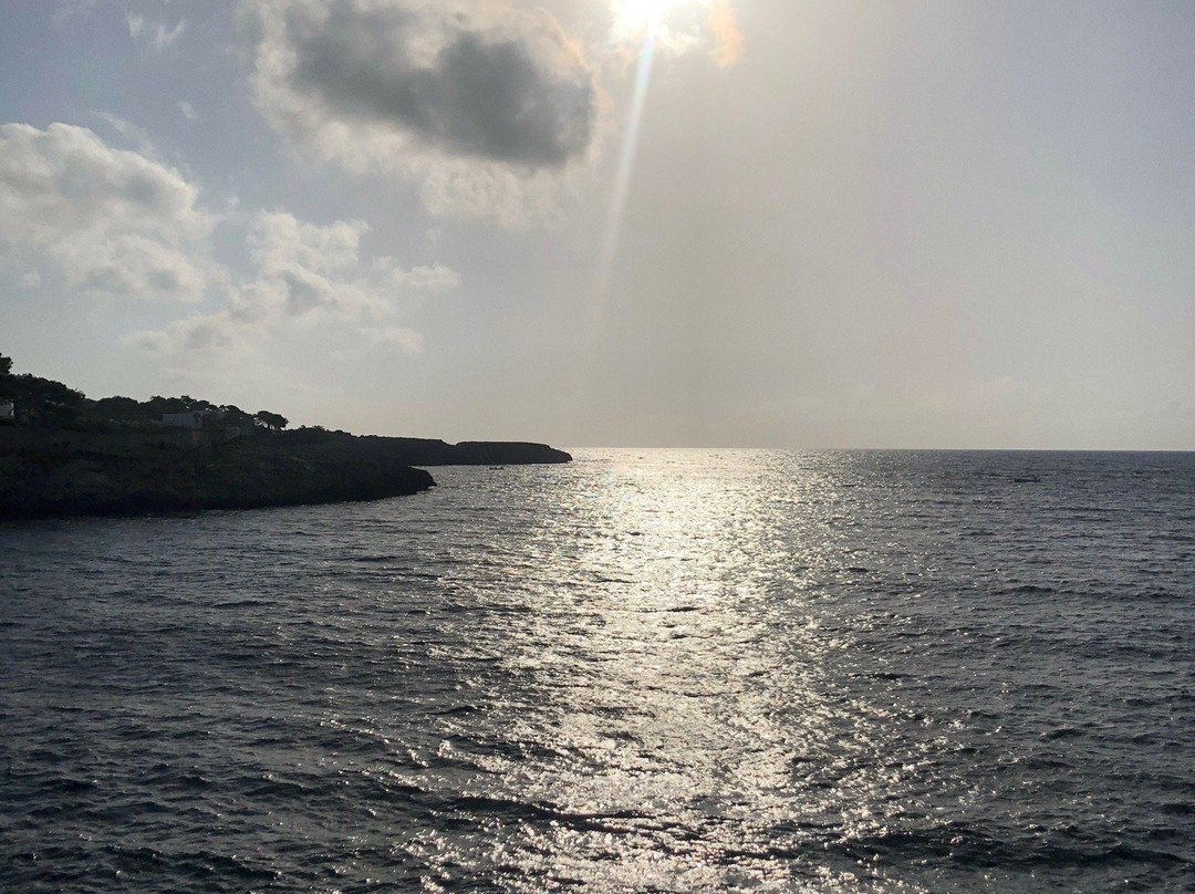 Plage Cala D'or景点图片