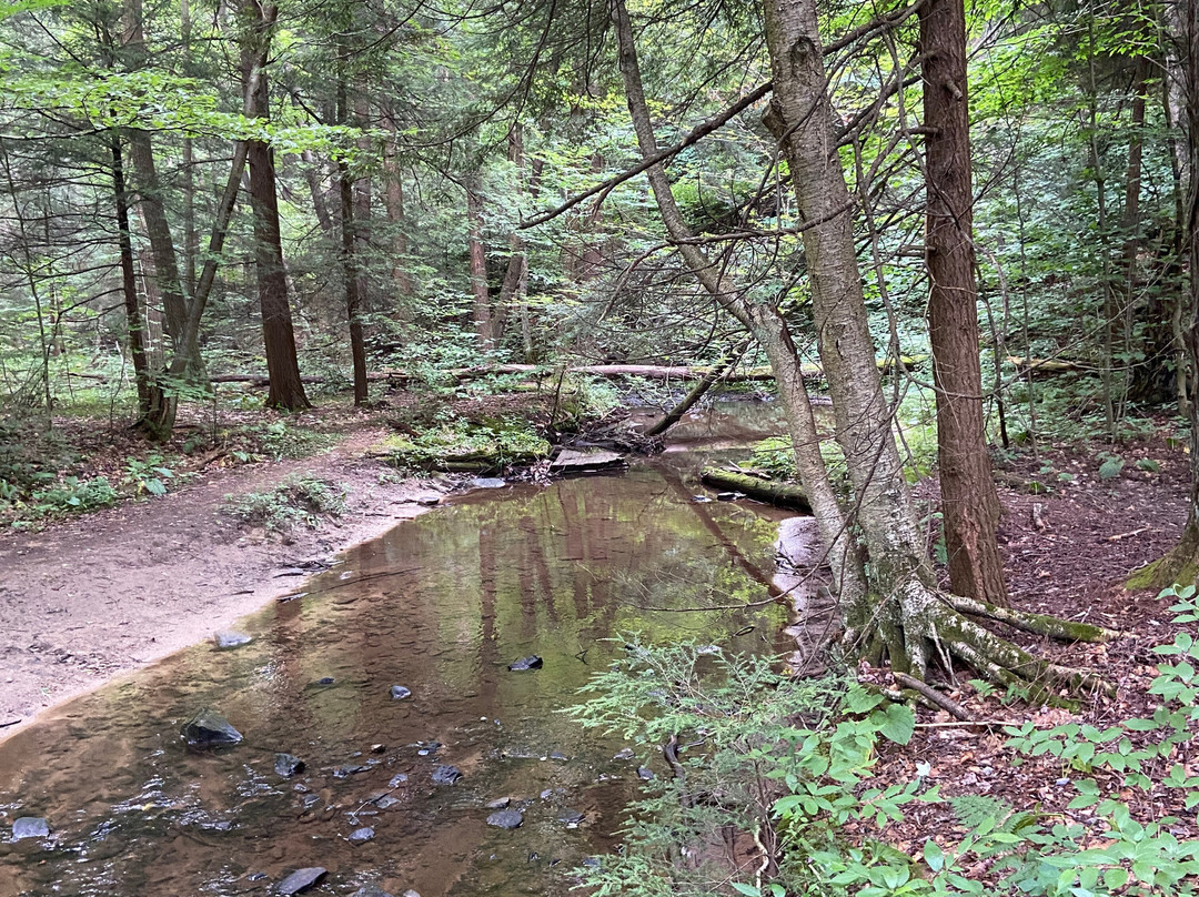 Kooser State park景点图片