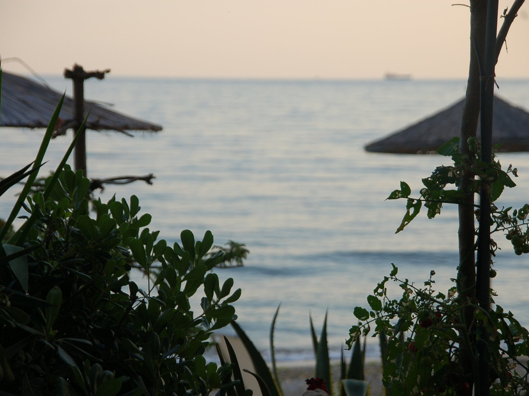 Step to the Sea