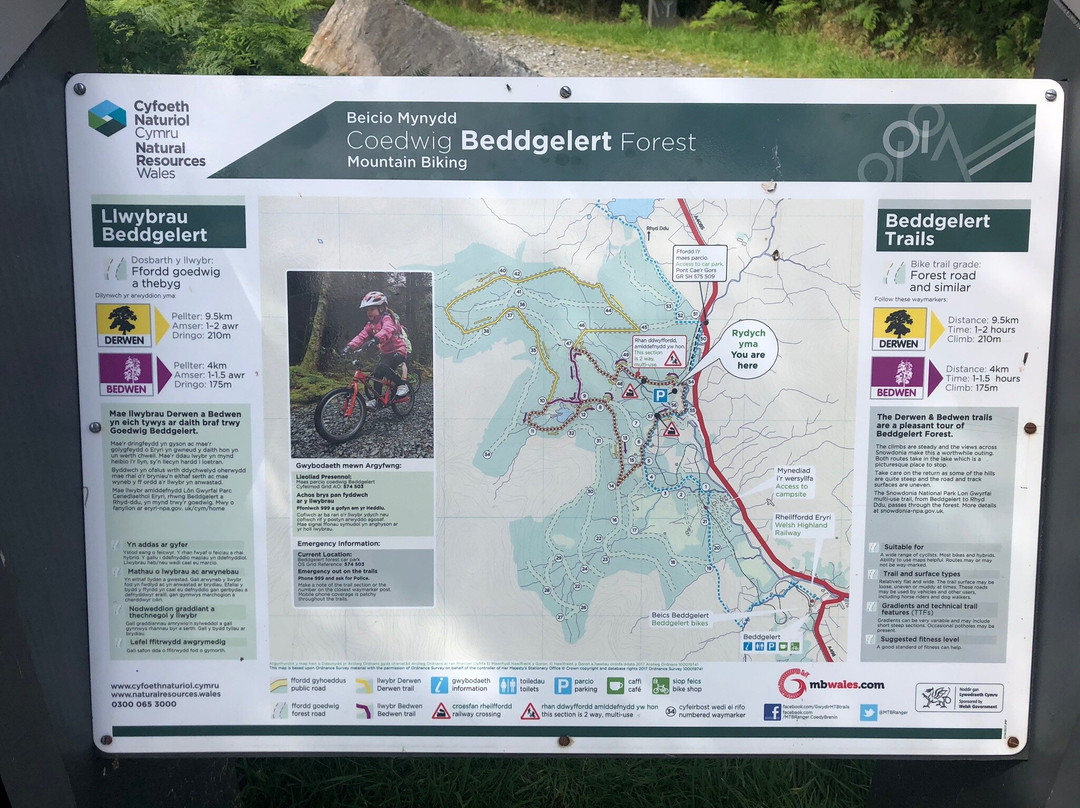 Beddgelert Forest景点图片