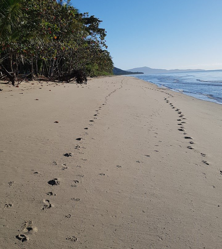 纽厄尔海滩旅游攻略图片