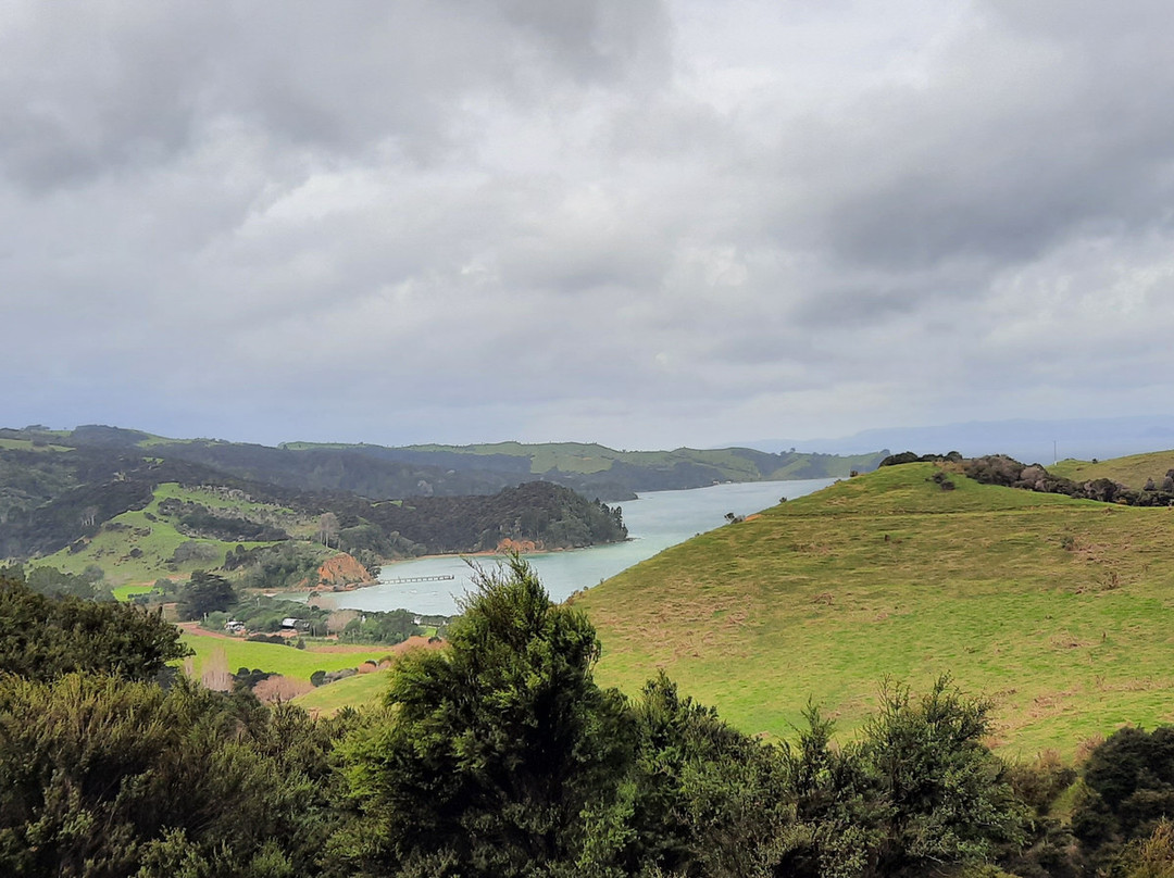 Sunrise eBikes Waiheke景点图片