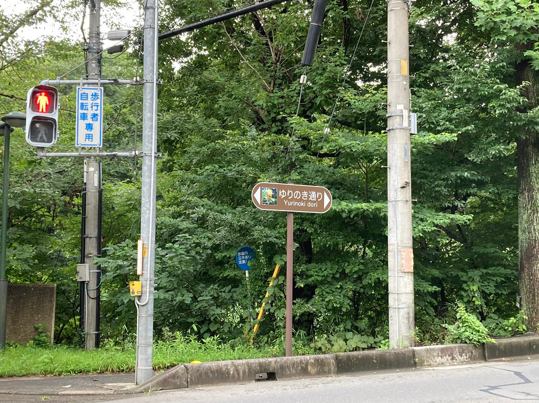 Kitamoto Nature Observation Park-北本市必去景点