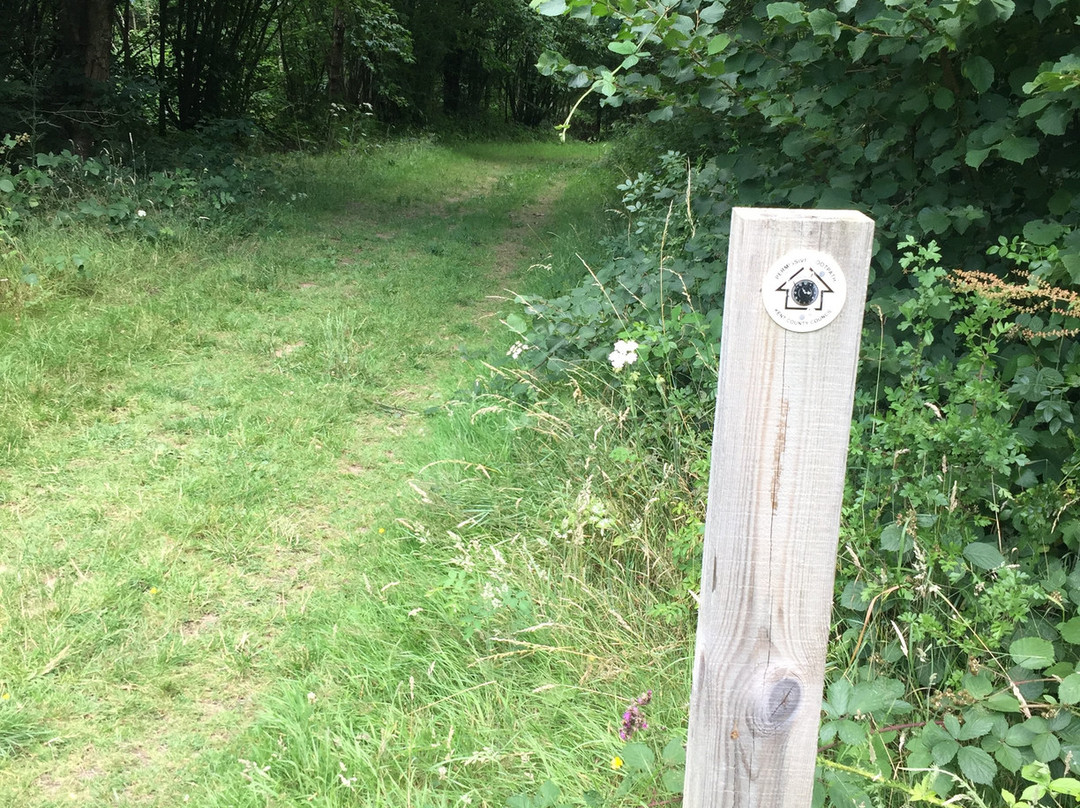 Comfort's Wood-Cranbrook必去景点