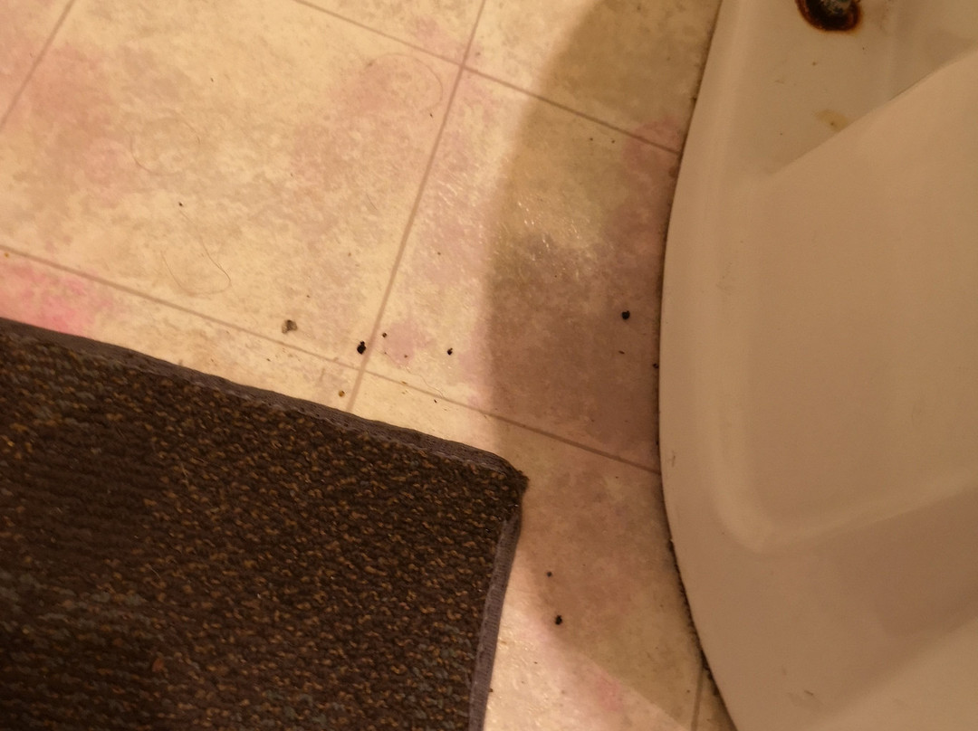 Silver Birches Resort主图