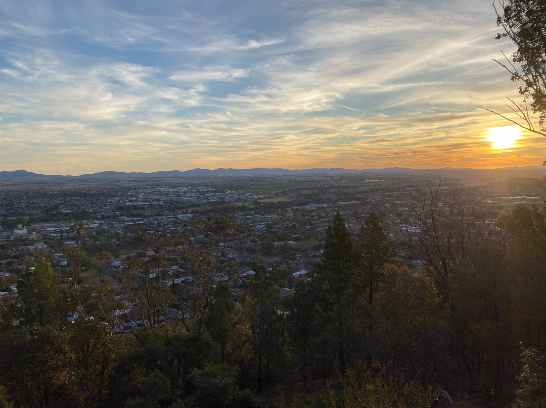 Oxley Scenic Lookout景点图片