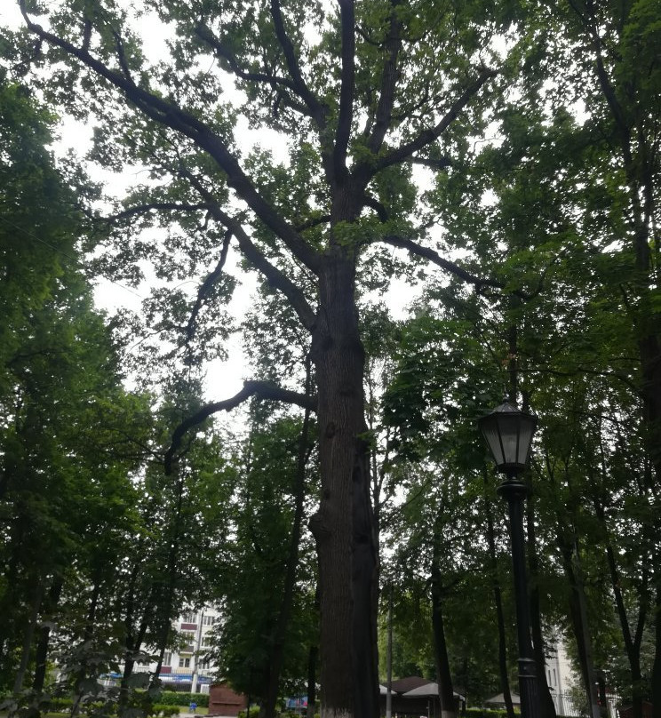 Talalikhin Park景点图片