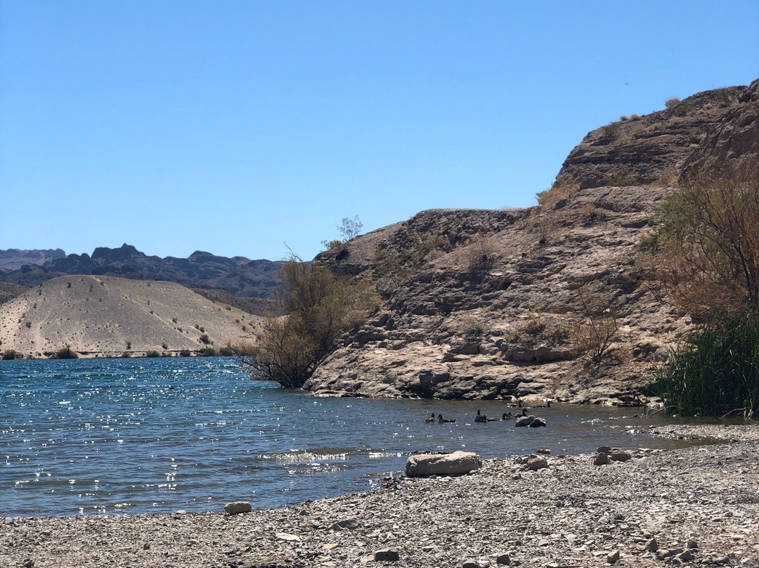 Nelson's Landing Cliff Jumping-Nelson必去景点
