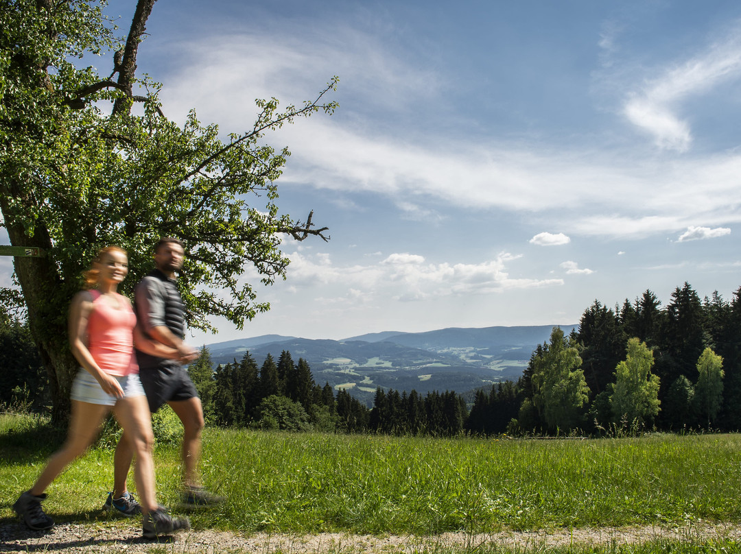 Burghotel Sterr主图