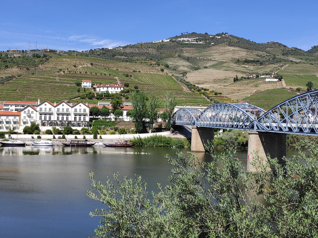 Douro Tours景点图片