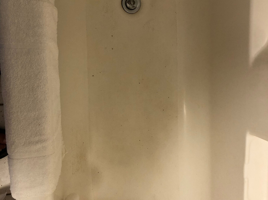 AmericInn by Wyndham Muscatine主图