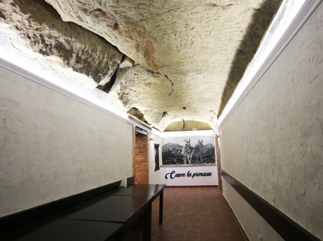 Bodega Teodoro Ruíz Monge景点图片